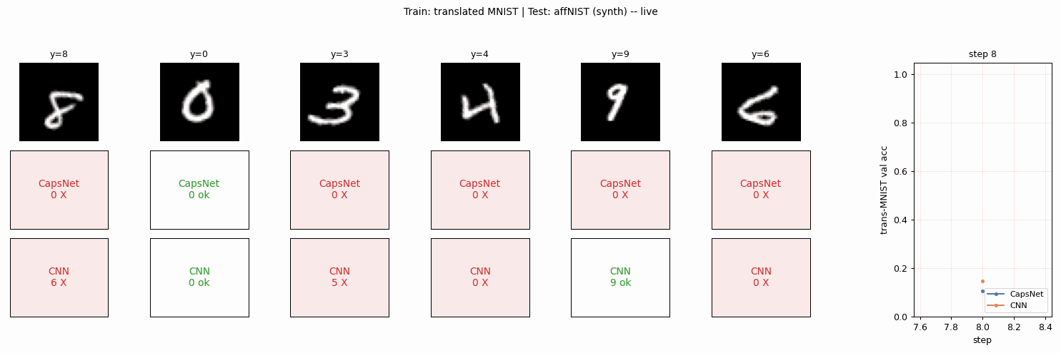 affNIST live training