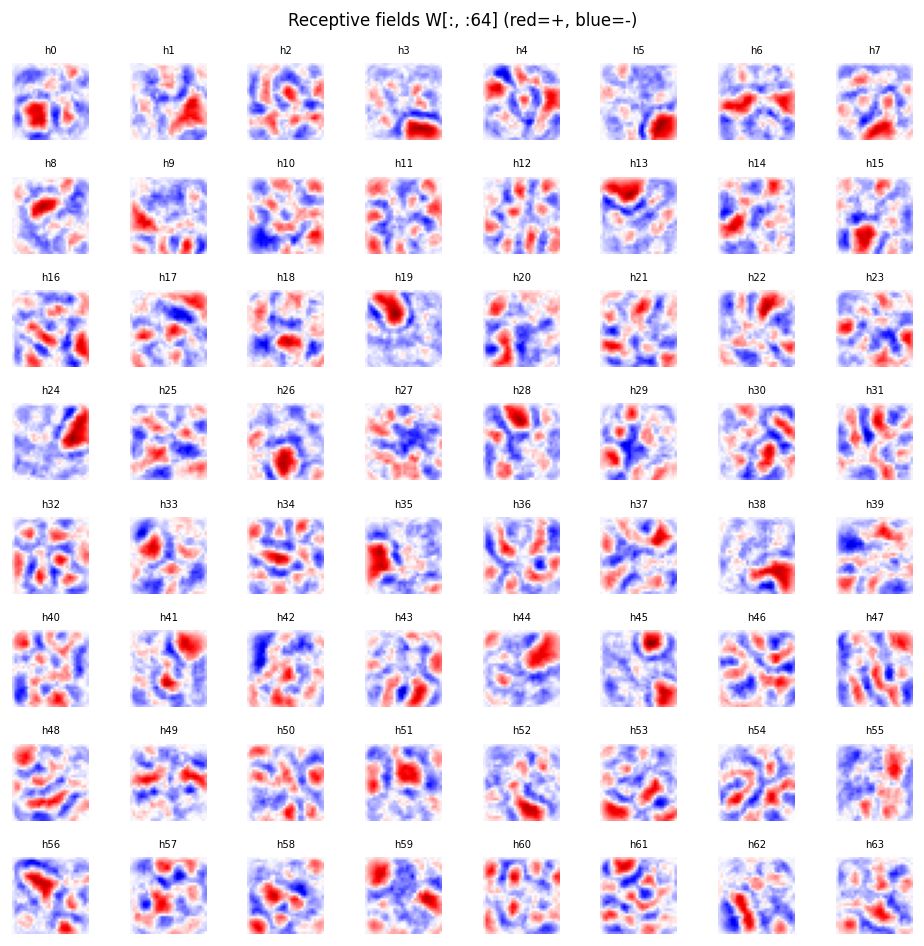 receptive fields
