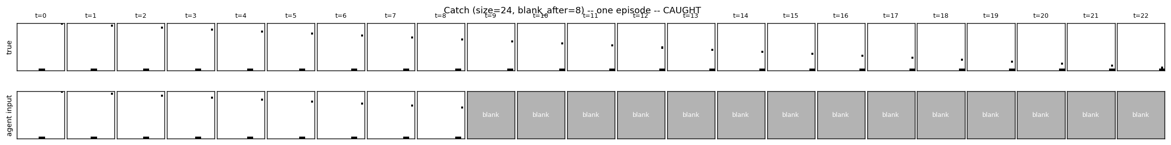 example_episode