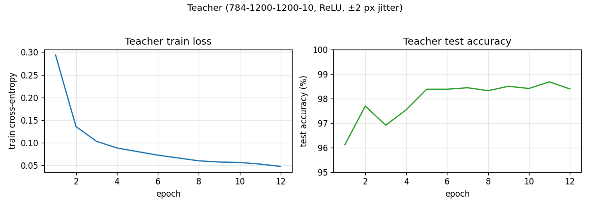 teacher