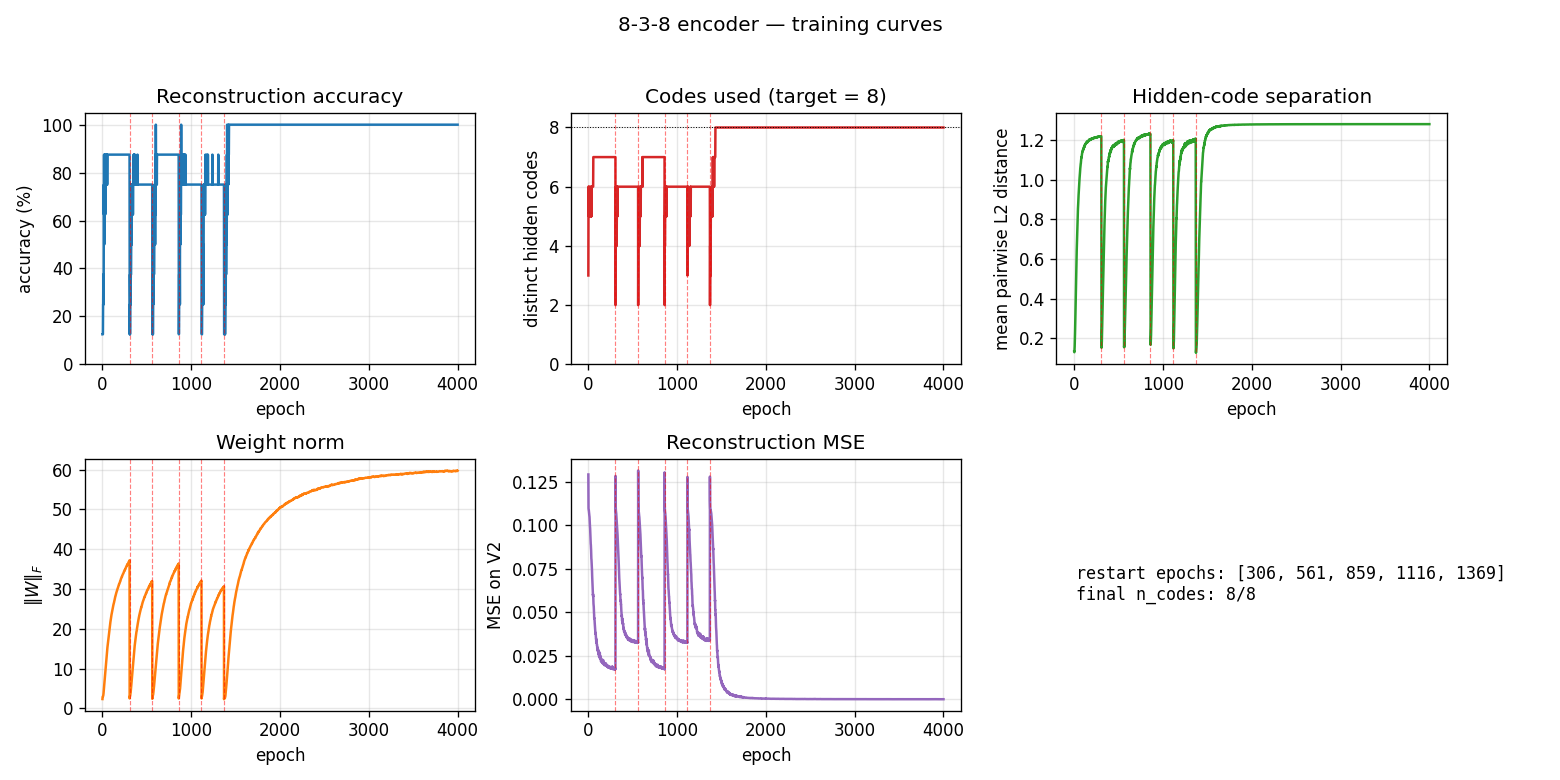 training curves