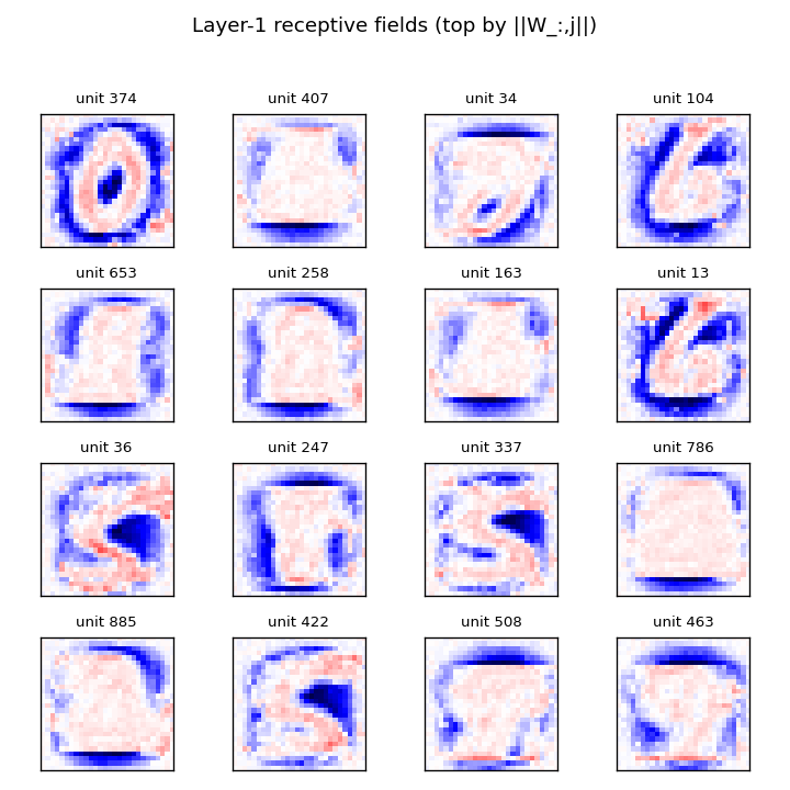 layer-1 receptive fields