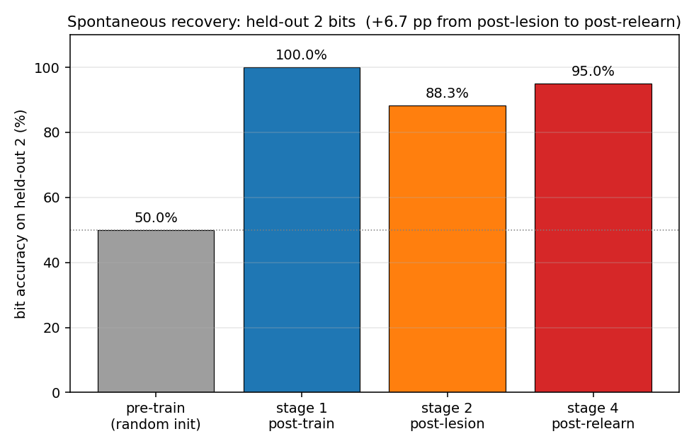 spontaneous_recovery