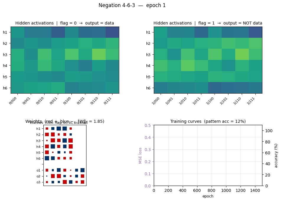 negation backprop animation