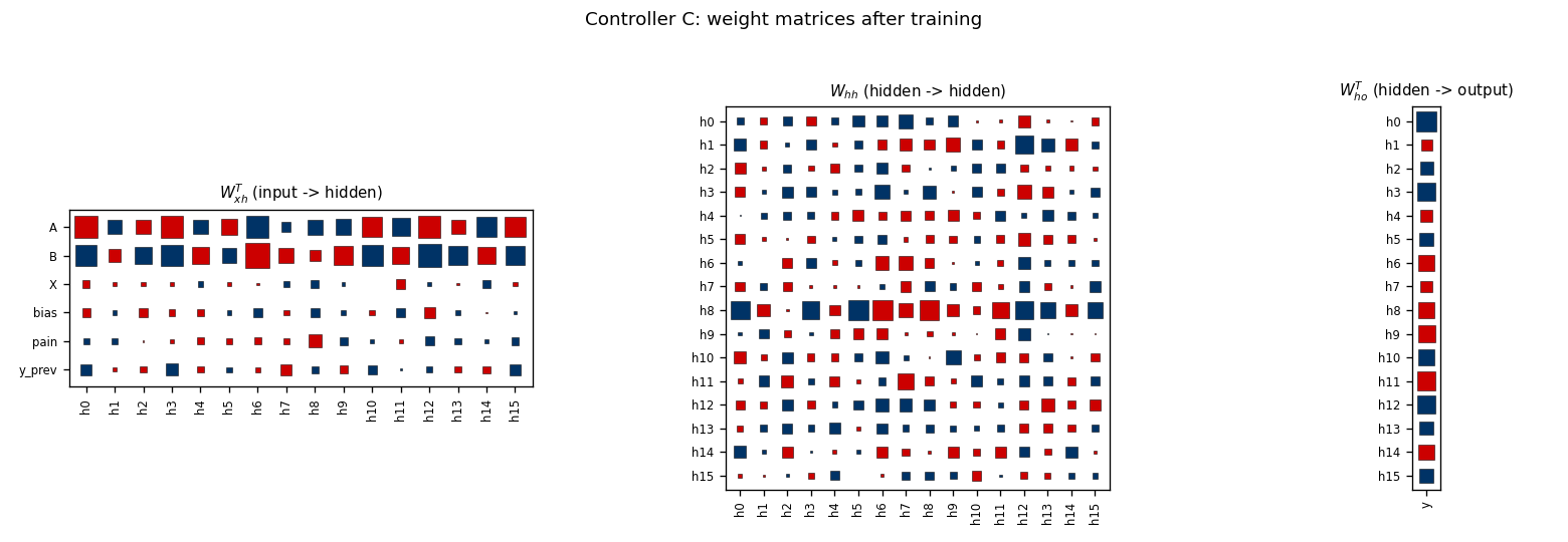 C weights