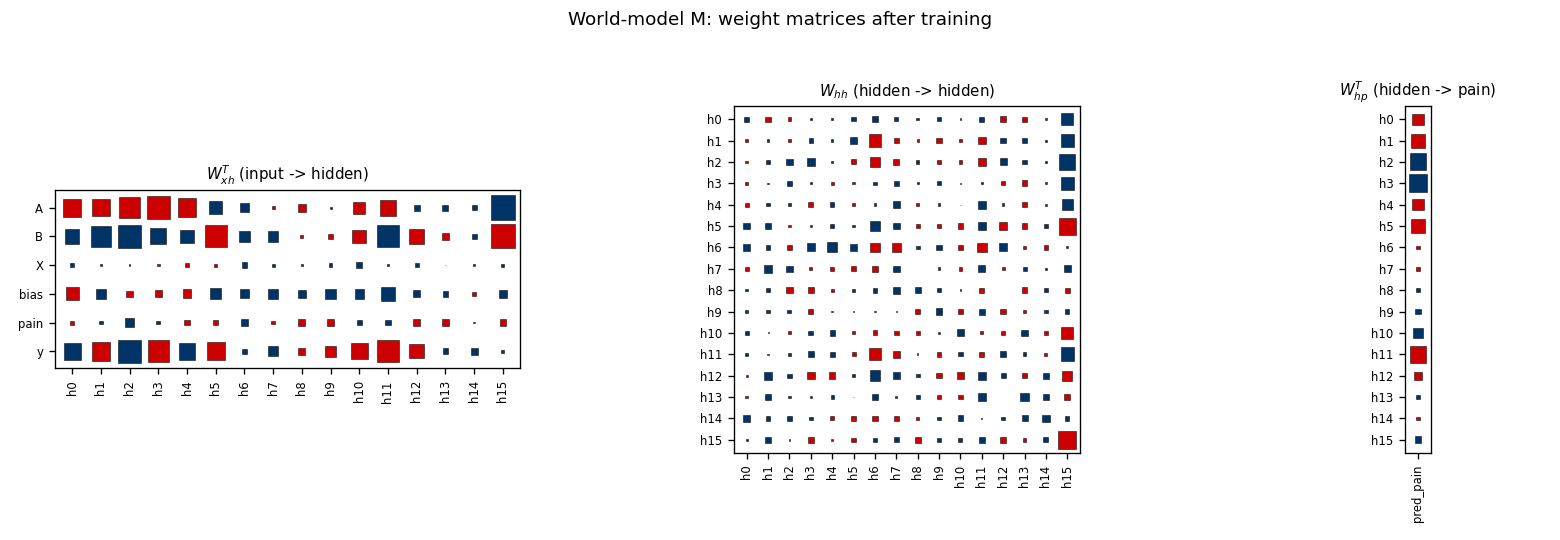 M weights
