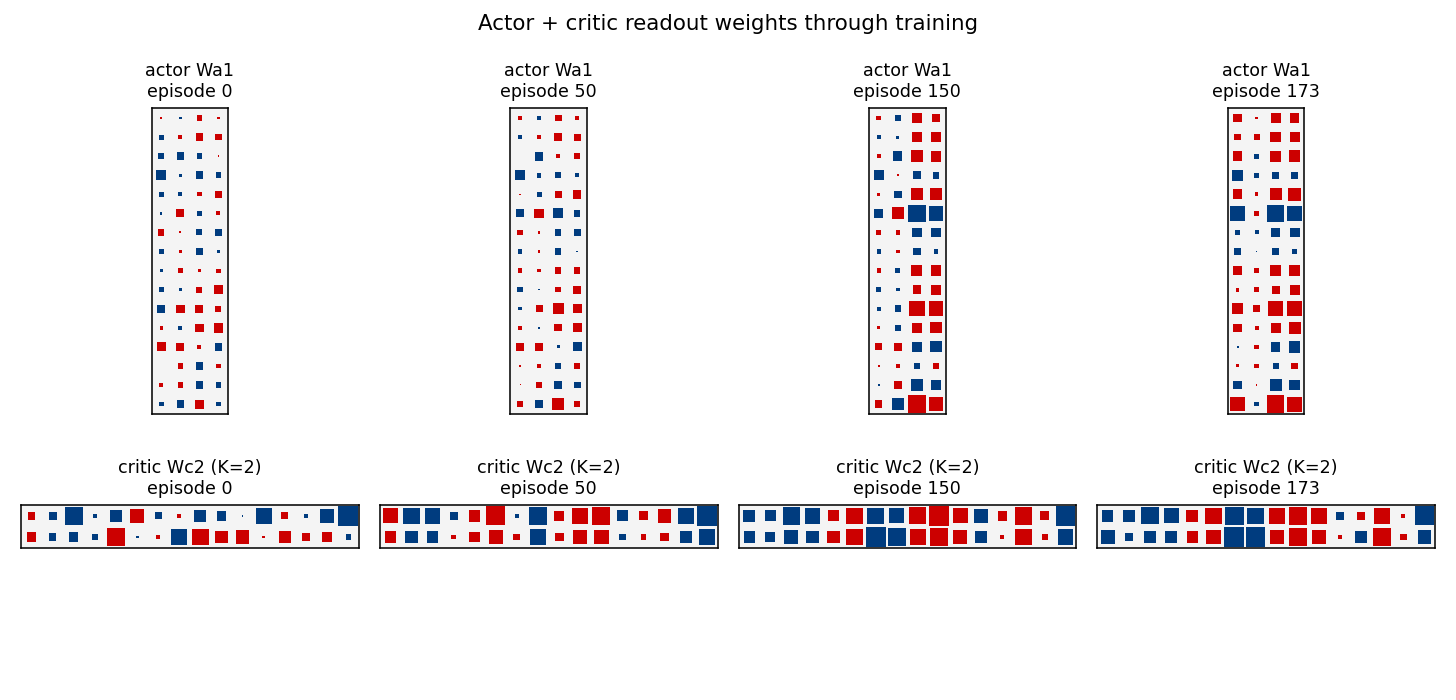 actor + critic weight evolution