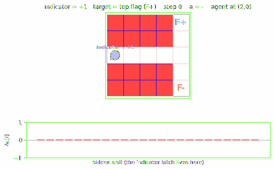 pomdp-flag-maze