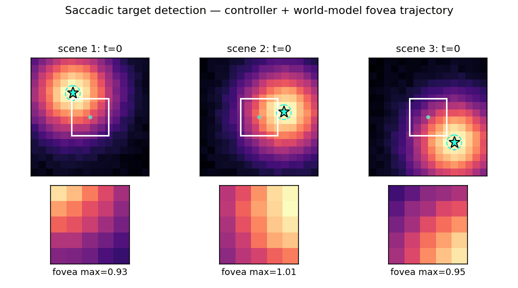 saccadic-target-detection